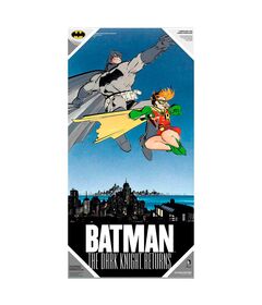 SD TOYS DC Comics Batman and Robin glass poster
