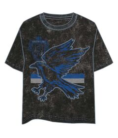 WARNER BROS. DISCOVERY Harry Potter Ravenclaw adult t-shirt