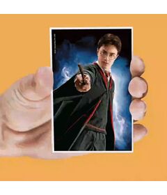 SD TOYS Harry Potter set of 4 assorted lenticular magnets