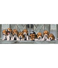 Clementoni Puzzle - Panorama Beagles 1000 pcs