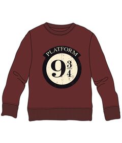 WARNER BROS. DISCOVERY Harry Potter Platform 9 3/4 child sweatshirt