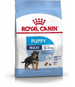 Royal Canin SHN Maxi Puppy - dry puppy food - 4kg