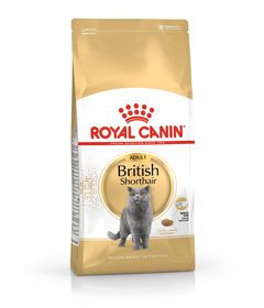 Royal Canin British Shorthair Adult cats dry food 4 kg