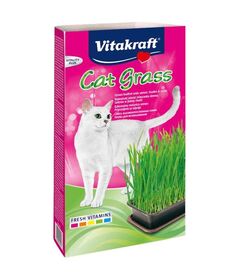 VITAKRAFT Cat Grass - Kit for cats - 120