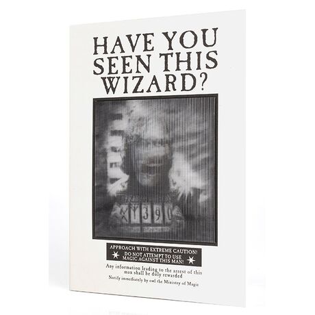 Agenda Lenticolare Harry Potter Have You Seen This Wizard?