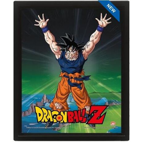 3D Dragon Ball Power Levels Poster EPPL71381