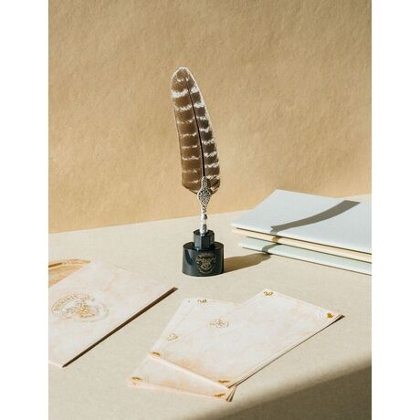 ERIK Harry Potter blister pen feather + cards