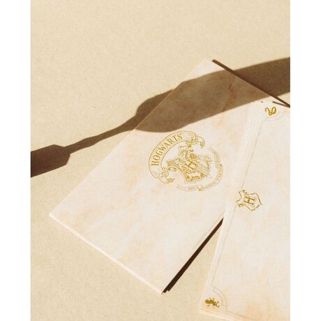 ERIK Harry Potter blister pen feather + cards