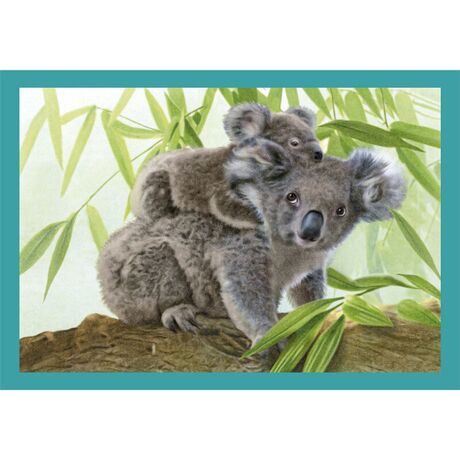 Clementoni Puzzle - Noli Baby Cuddles 12-16-20-24pcs