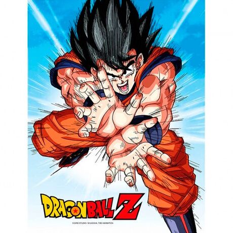 SD TOYS Dragon Ball Z Goku Kame glass poster