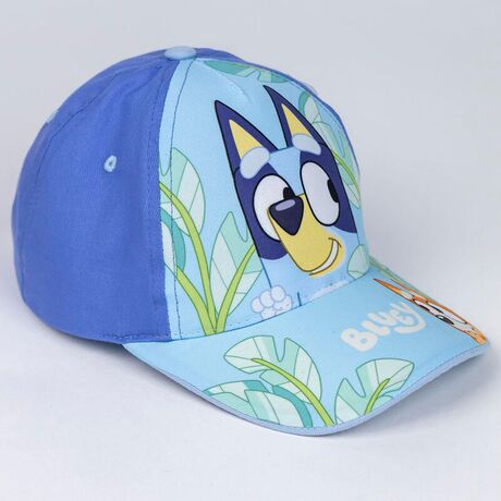Bluey assorted cap 18445484351252