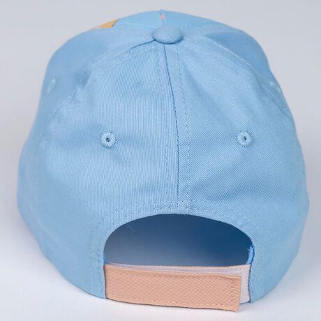 Bluey assorted cap 18445484351252
