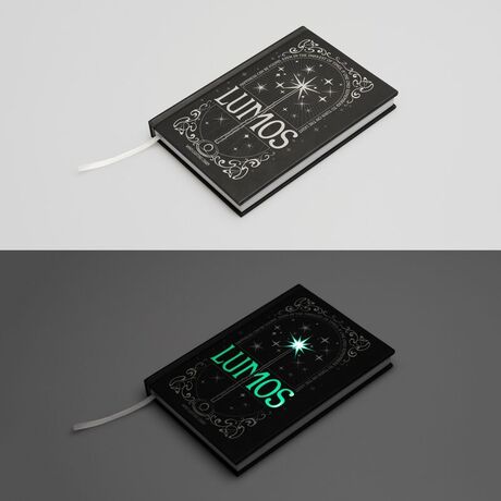 ERIK Harry Potter Lumos A5 premium led notebook + pen
