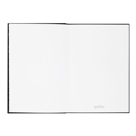 ERIK Harry Potter Lumos A5 premium led notebook + pen