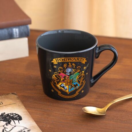 ERIK Harry Potter Hogwarts premium mug
