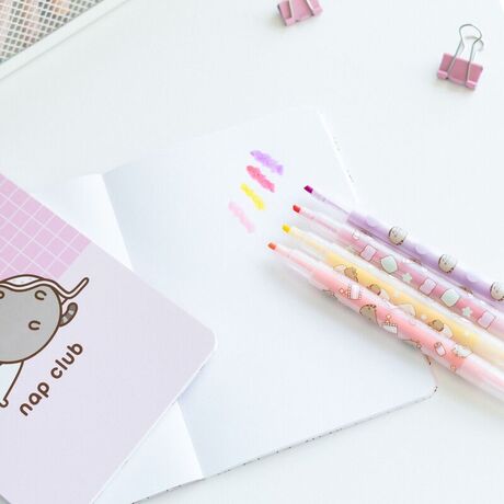 ERIK Pusheen Moments stationery set