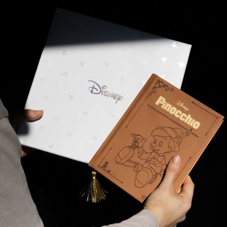 ERIK Disney Pinocchio A5 Notebook + Pen set
