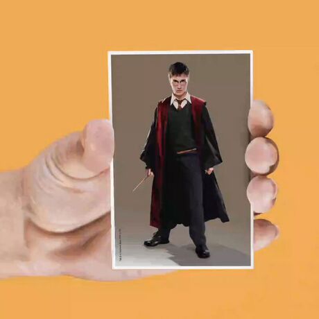 SD TOYS Harry Potter set of 4 assorted lenticular magnets