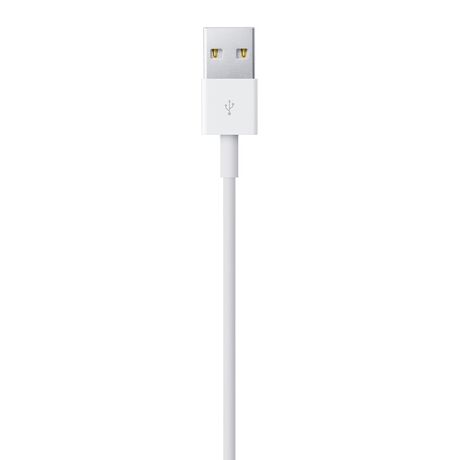 Apple Lightning to USB Cable (1В m)