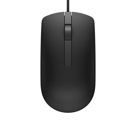 DELL MS116 mouse USB Type-A Optical 1000 DPI Ambidextrous