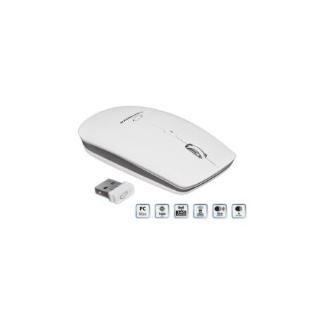 Esperanza EM120W mouse RF Wireless Optical 2400 DPI
