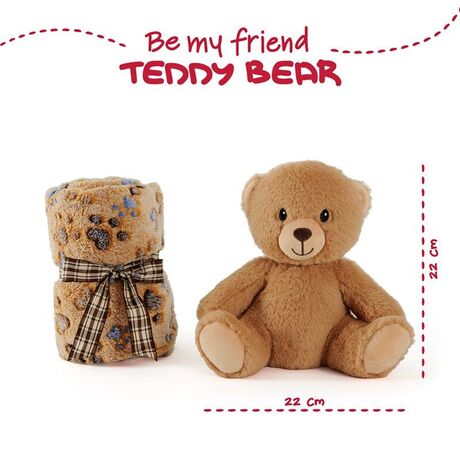 Teddy Bear Soft blanket + plush toy 22cm