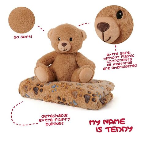 Teddy Bear Soft blanket + plush toy 22cm