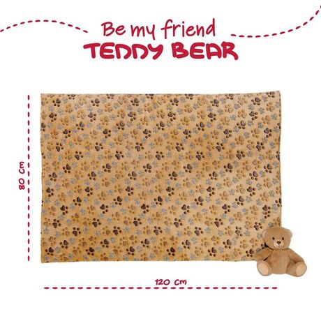 Teddy Bear Soft blanket + plush toy 22cm