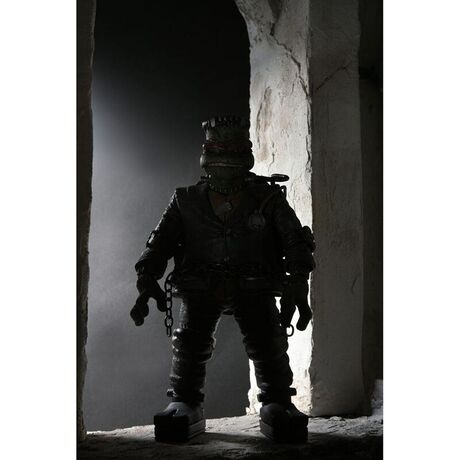 Ninja Turtles Raphael As Frankenstein Monster Ultimate Action figure 18cm 634482541883