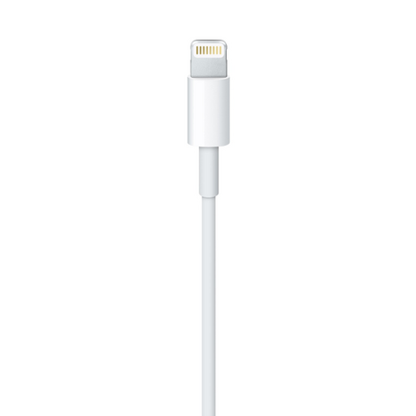 Apple Data Cable Lightning to USB 2m
