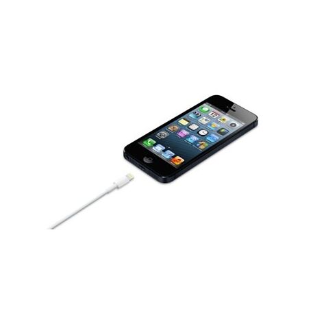 Apple Lightning to USB Cable (0.5 m)