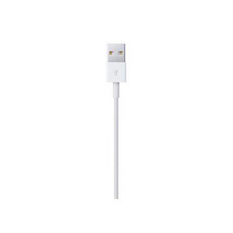 Apple Lightning to USB Cable (0.5 m)