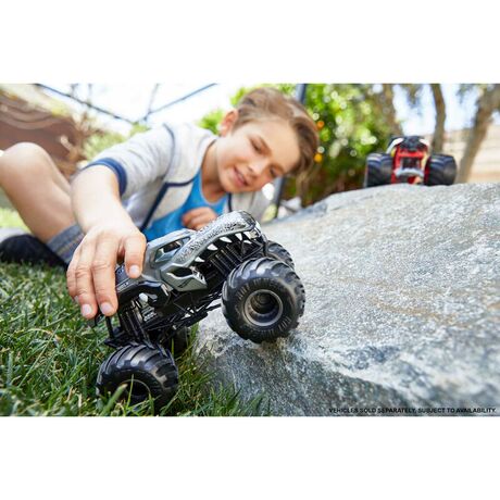MATTEL Hot Wheels Monster Trucks assorted car