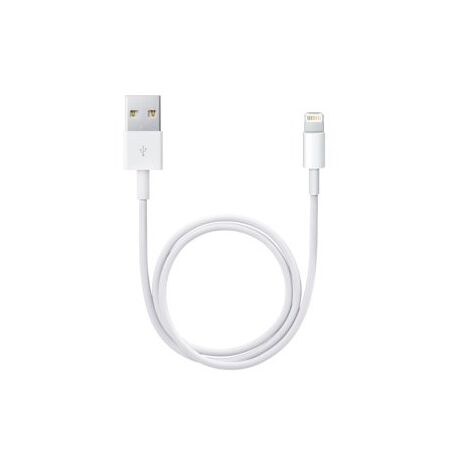 Apple Lightning to USB Cable (0.5 m)