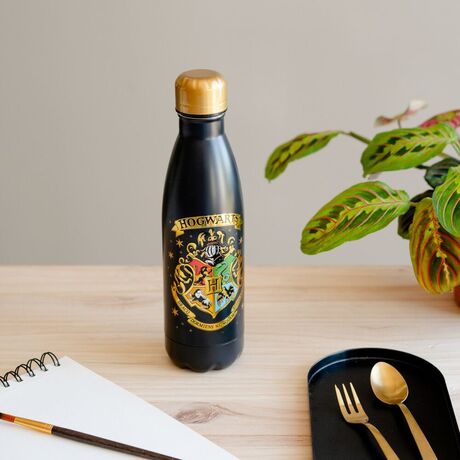 ERIK Harry Potter Hogwarts Stainless steel bottle 500ml