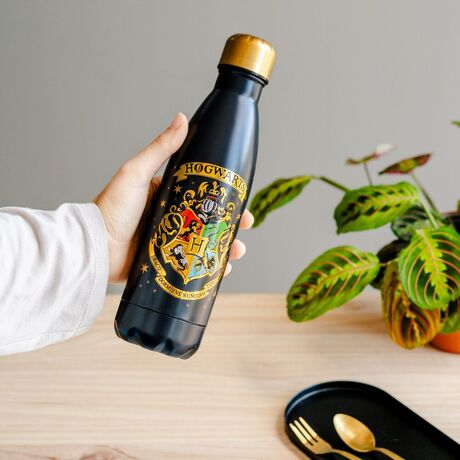 ERIK Harry Potter Hogwarts Stainless steel bottle 500ml