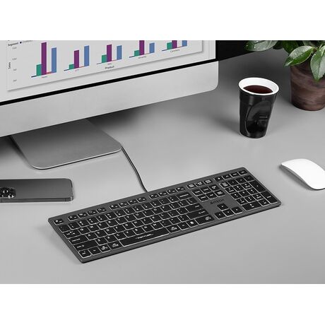 A4Tech FSTYLER FX60H (White Backlit) keyboard USB QWERTY Black, Grey
