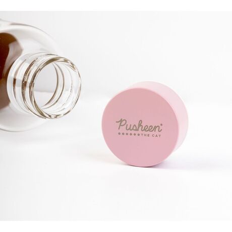 ERIK Pusheen glass bottle 500ml