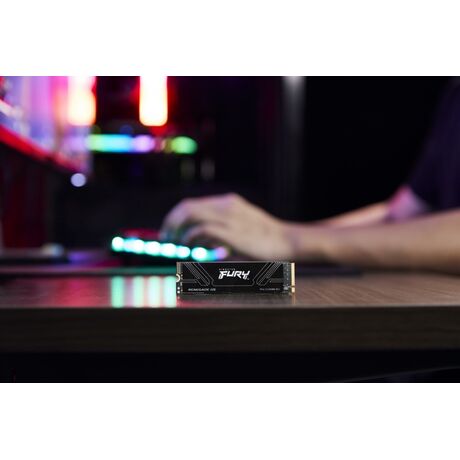 Kingston Technology 1T FURY RENEGADE G5 M.2 2280 NVMe SSD