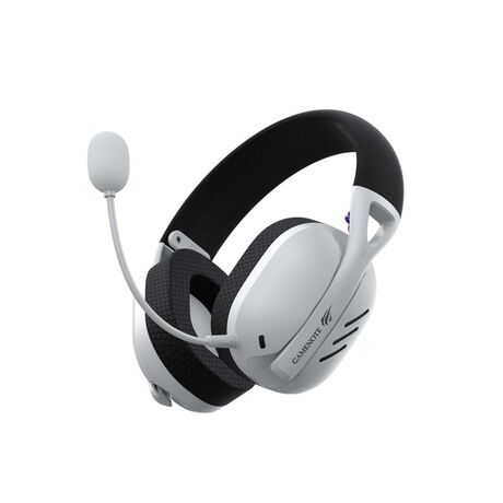 Havit Gamenote Fuxi-H3 - gaming headphones, black and white