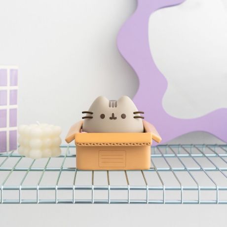ERIK Pusheen money box