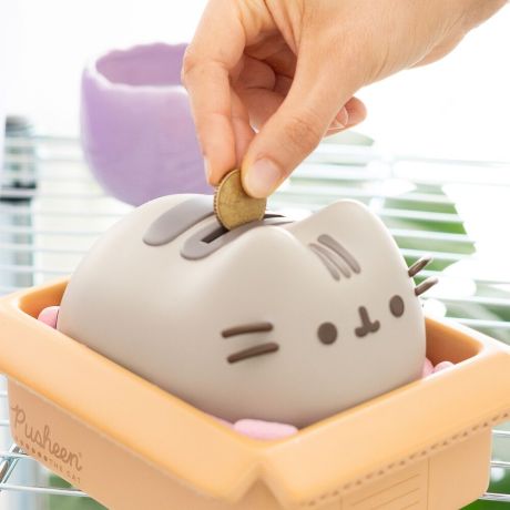ERIK Pusheen money box