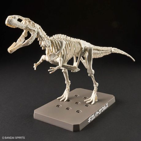 BANDAI HOBBY Model Kit Plannosaurus Giganotosaurus
