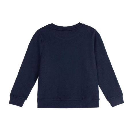 CERDÁ Sonic The Hedgehog hoodie