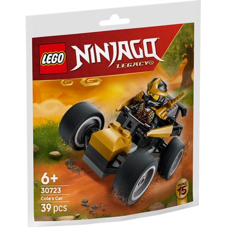 30723 Polybag Auto Ninja di Cole