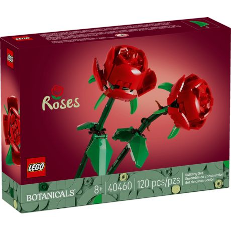 40460 Flowers Botanical Rose V2