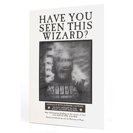 Agenda Lenticolare Harry Potter Have You Seen This Wizard?