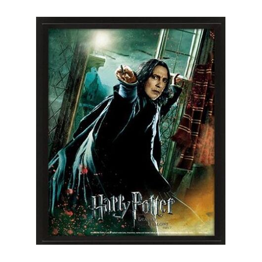 3D Harry Potter Severus Snape Poster EPPL71326