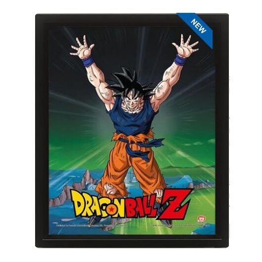3D Dragon Ball Power Levels Poster EPPL71381