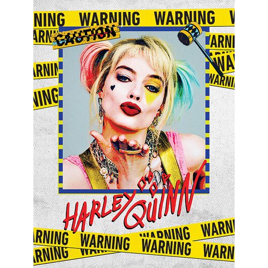 Deluxe Harley Quinn Canvas WDC12239